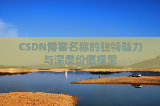 CSDN博客名称的独特魅力与深度价值探索